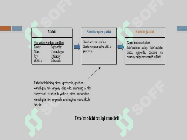 Bozorni va iste’molchilarni o‘rganish 4