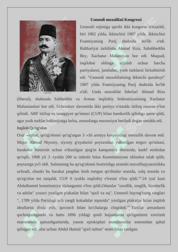 Yosh turklar harakati  24 6