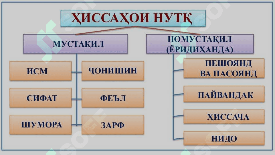 Қисмҳои забоншиносӣ 4
