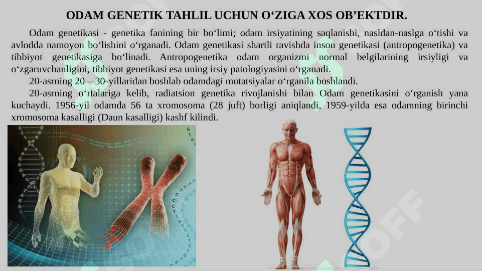 ODAM GENETIKASI VA TIBBIY GENETIKA. IRSIY KASALLIKLAR. TIBBIY GENETIK MASLAHAT. 4