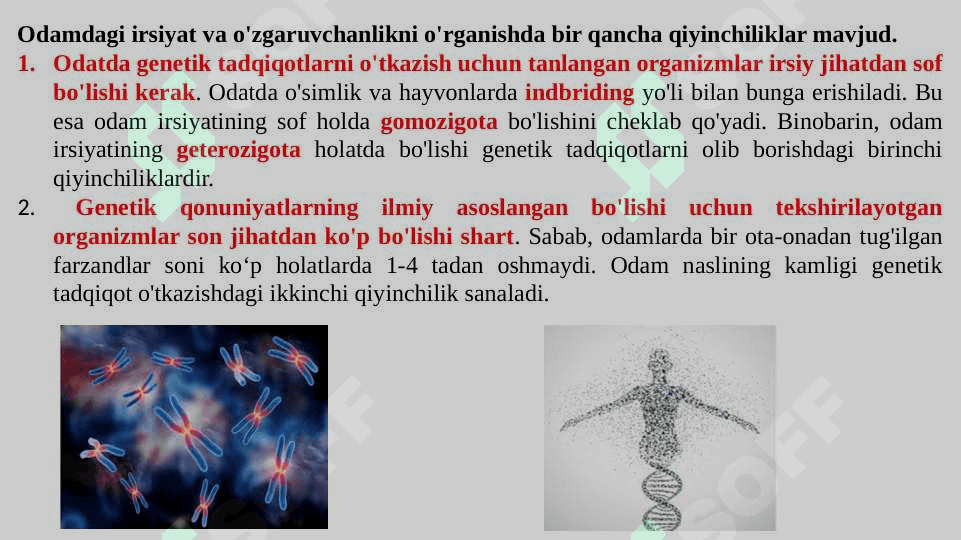 ODAM GENETIKASI VA TIBBIY GENETIKA. IRSIY KASALLIKLAR. TIBBIY GENETIK MASLAHAT. 5