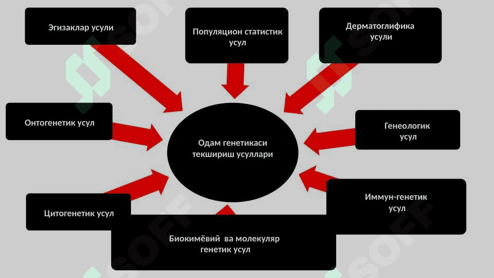 ODAM GENETIKASI VA TIBBIY GENETIKA. IRSIY KASALLIKLAR. TIBBIY GENETIK MASLAHAT. 8