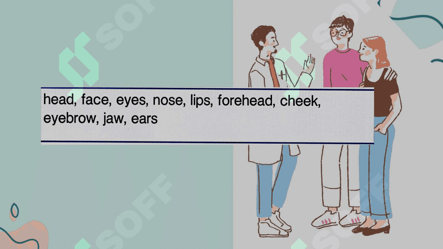 PARTS OF THE BODY 2