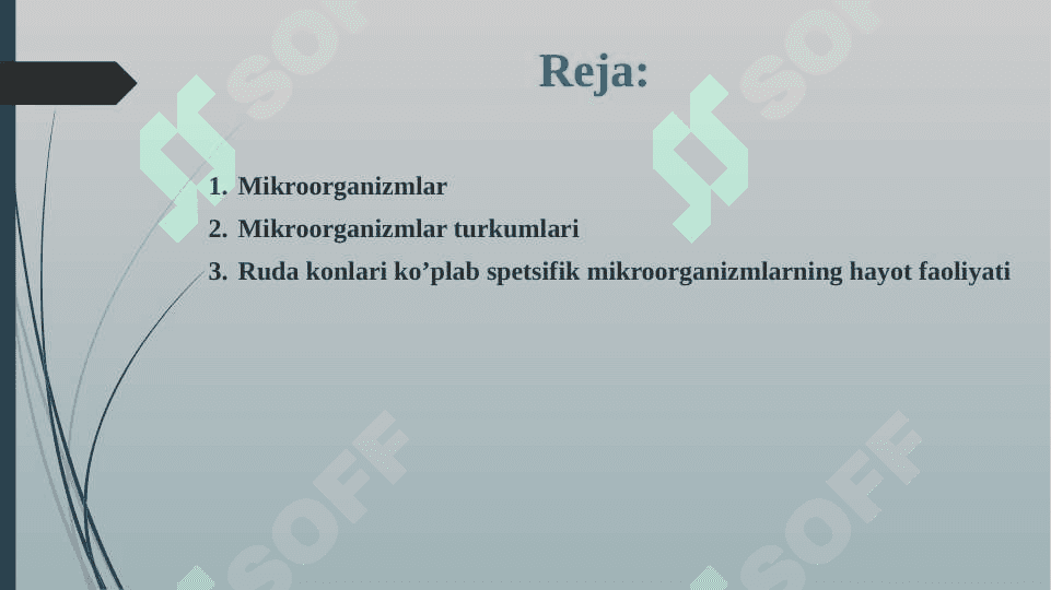 Mikroorganizmlar ularning turlari qoʼllanilish sohalari 2