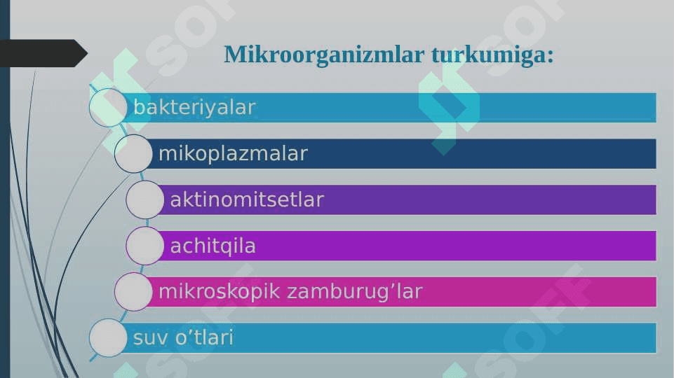 Mikroorganizmlar ularning turlari qoʼllanilish sohalari 4