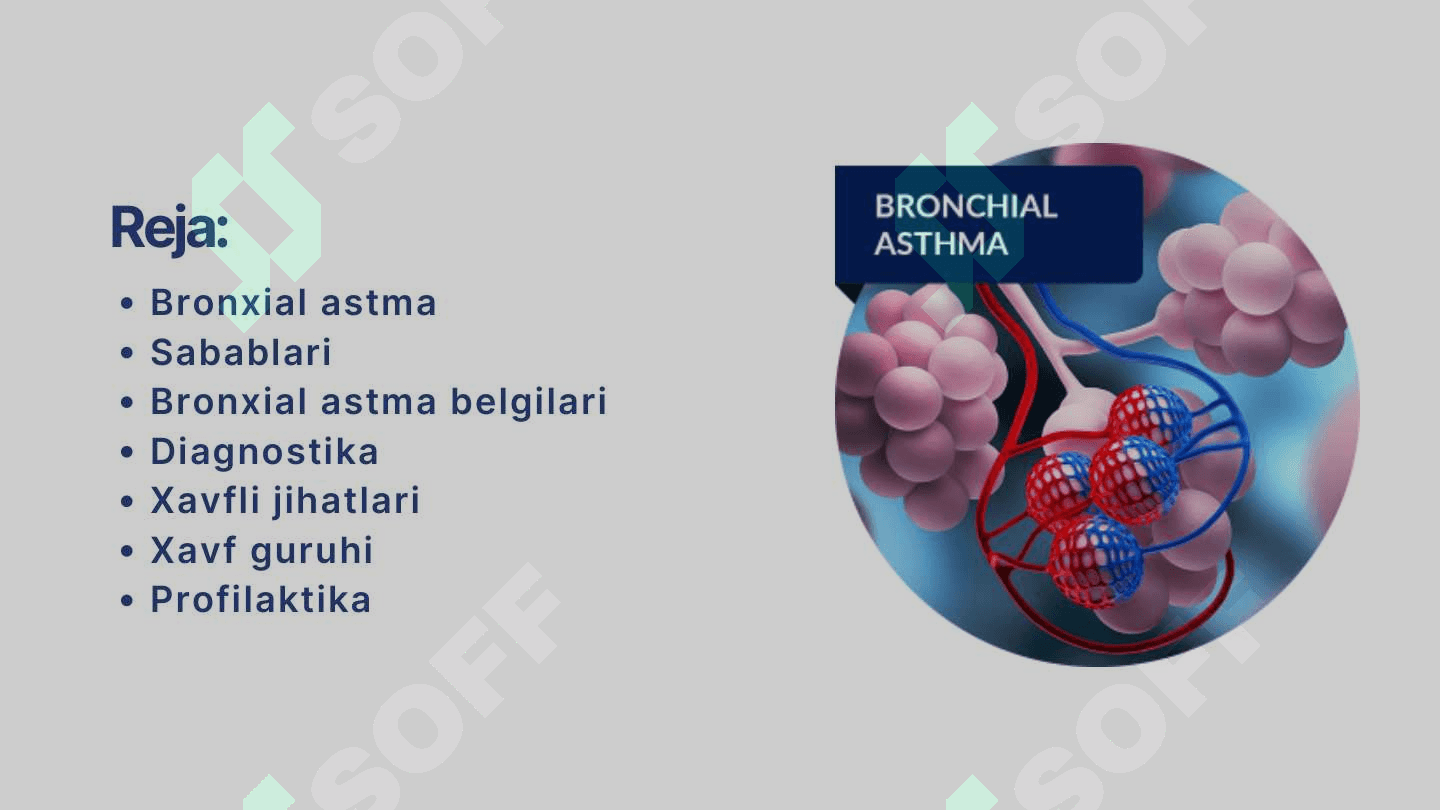 Bronxial asma 2