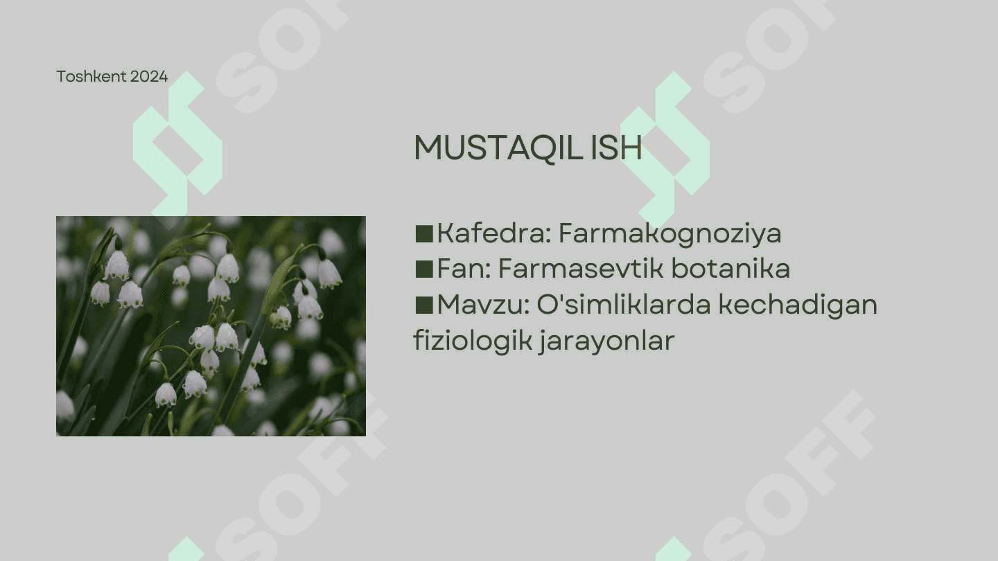 O'simliklarda kechadigan fiziologik jarayonlar 2