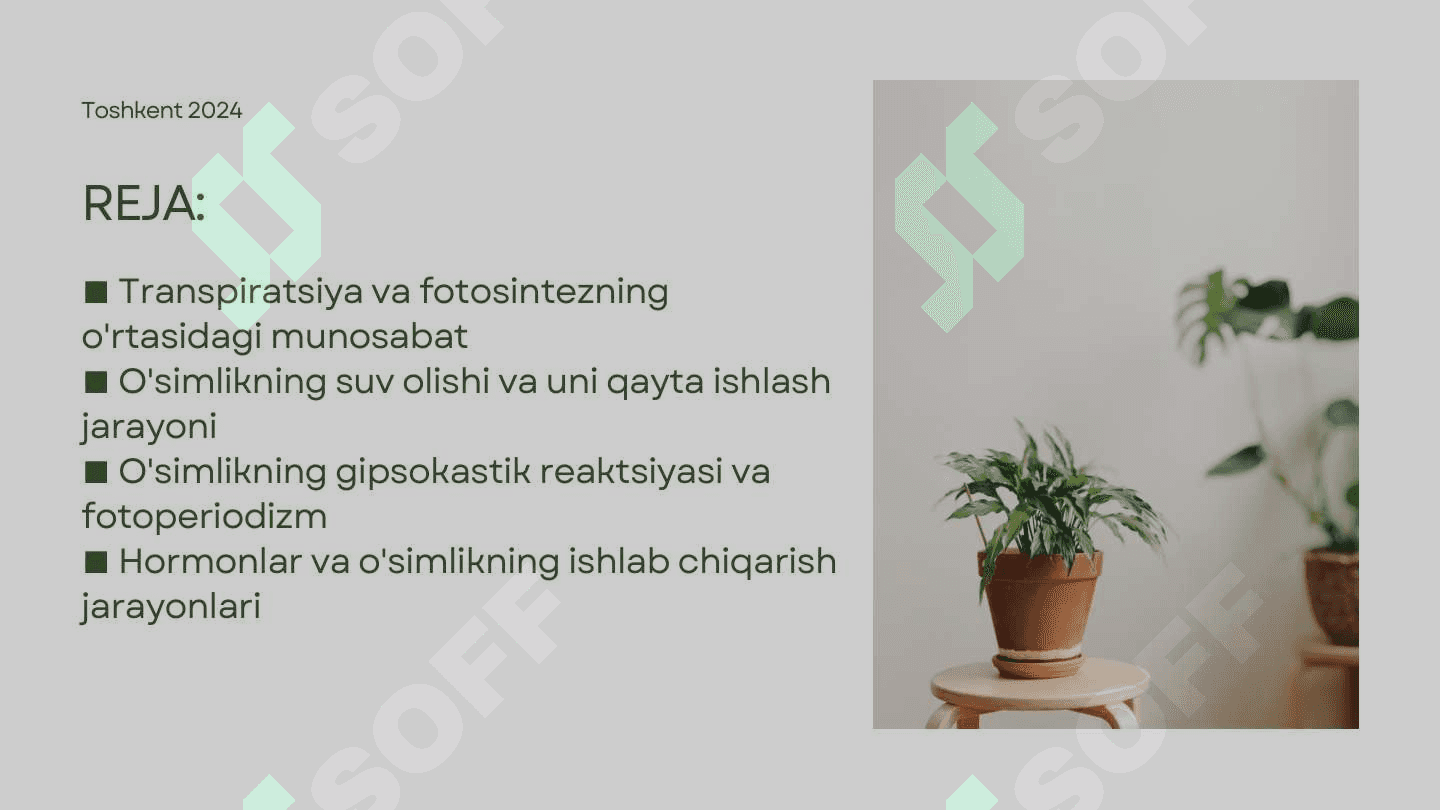 O'simliklarda kechadigan fiziologik jarayonlar 3