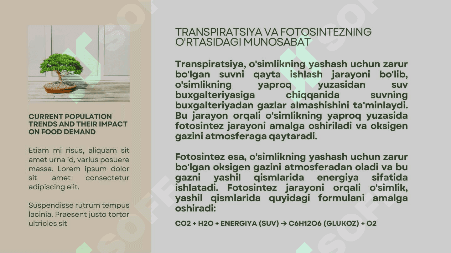 O'simliklarda kechadigan fiziologik jarayonlar 4