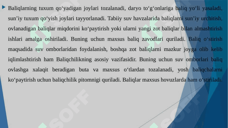 Baliqchilik,uning iqtisodiy ahamiyati 5