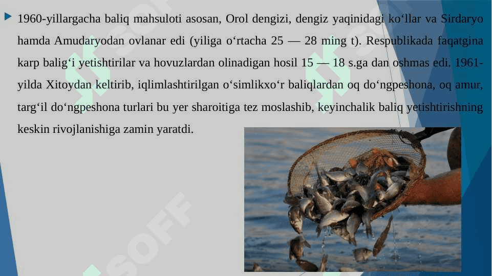 Baliqchilik,uning iqtisodiy ahamiyati 7