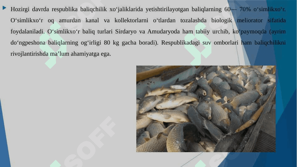 Baliqchilik,uning iqtisodiy ahamiyati 8