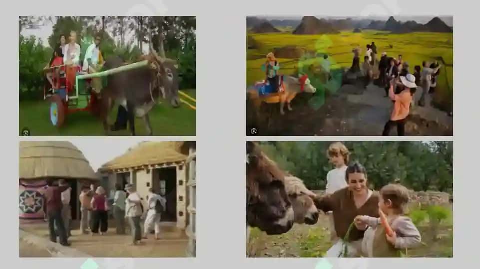 Qishloq turizmi 3