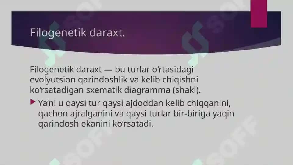 Filogenetik daraxtga oid masala mashq tuzish va yechish metodikasi 2
