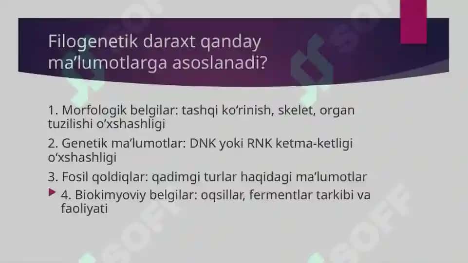 Filogenetik daraxtga oid masala mashq tuzish va yechish metodikasi 3
