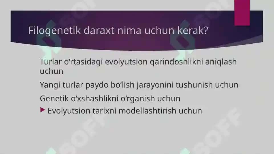 Filogenetik daraxtga oid masala mashq tuzish va yechish metodikasi 4