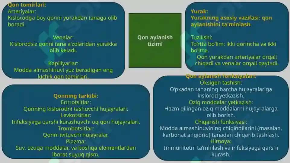 Masala mashq tuzish va yechish metodikasi. Idrok xarita 3