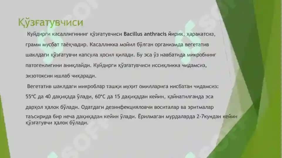 Kuydirgi 4