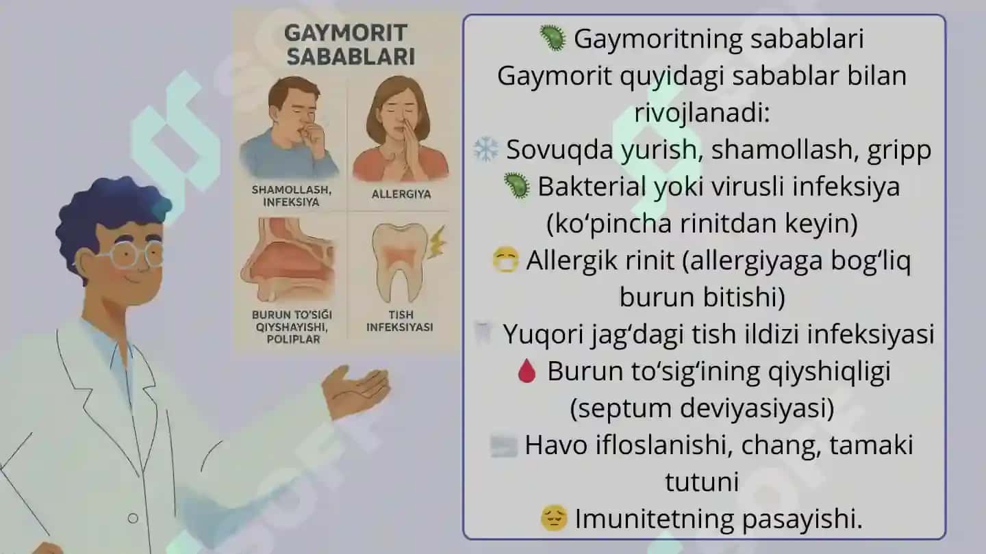 Goymorit 3