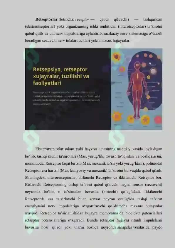 RETSEPSIYA RETSEPTOR HUJAYRALAR TUZILISHI VA FAOLIYATI. 3