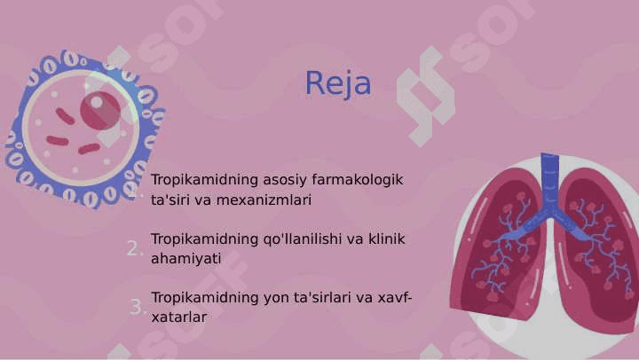 Tropikamid dori vositasining farmakalogiyasi 2