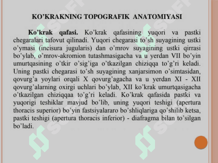 Ko'krak sohasi 
topografik anatomiyasi 2