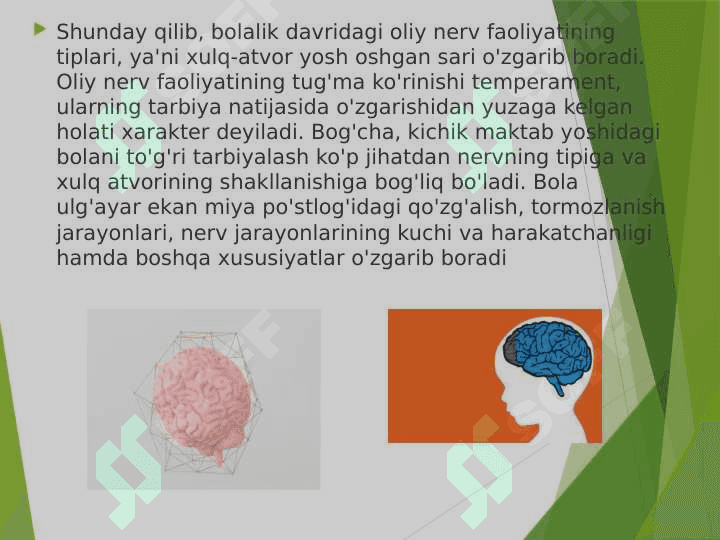 Oliy nerv faoliyati va uning yoshga oid xususiyatlari 4