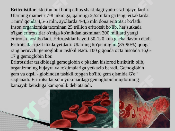 Qon va qon aylanish tizimining yosh xususiyatlari va gigiyenasi 5