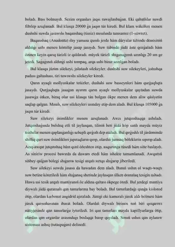 Mollyuskalar tipi 2