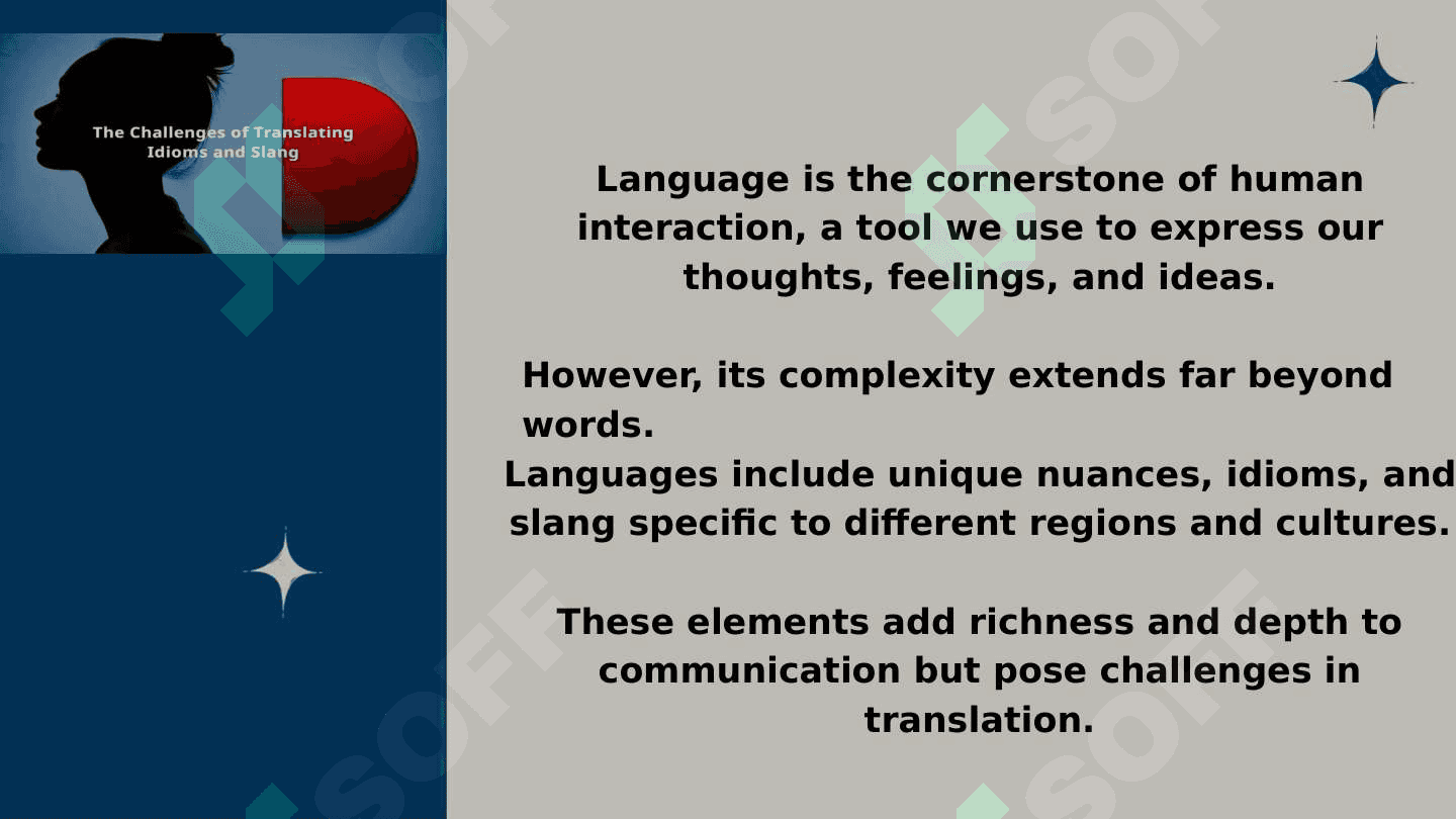 Challenges of translating idioms and slangs 2