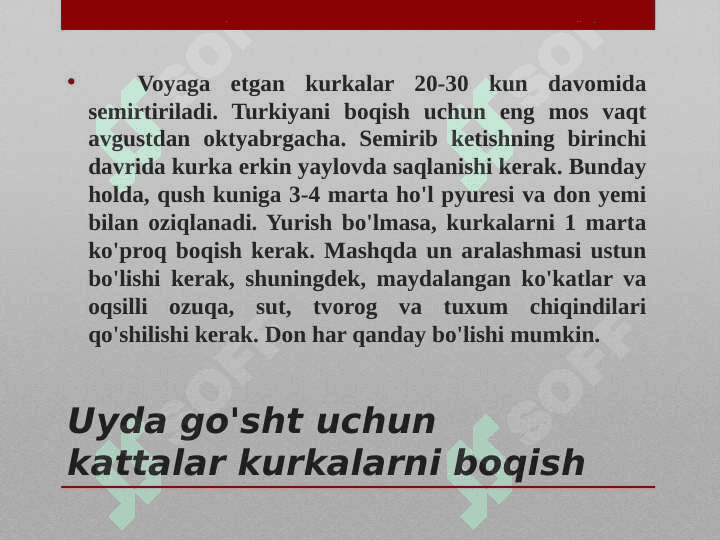 KURKALARNI OZIQLANTIRISH TEXNOLOGIYALARI 3