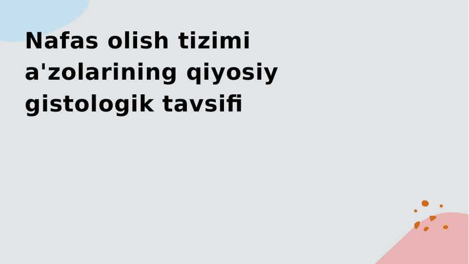 Nafas olish tizimi a'zolarining qiyosiy gistologik tavsifi