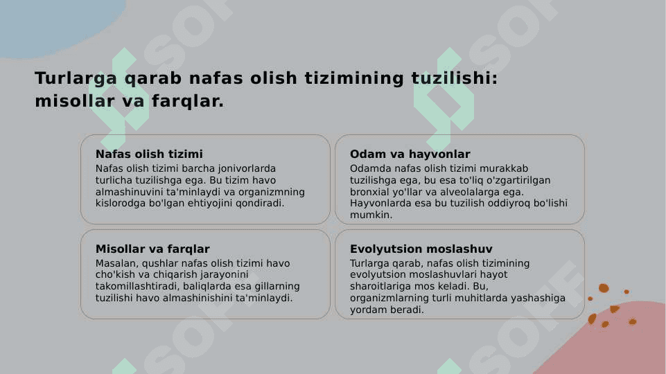 Nafas olish tizimi a'zolarining qiyosiy gistologik tavsifi 5