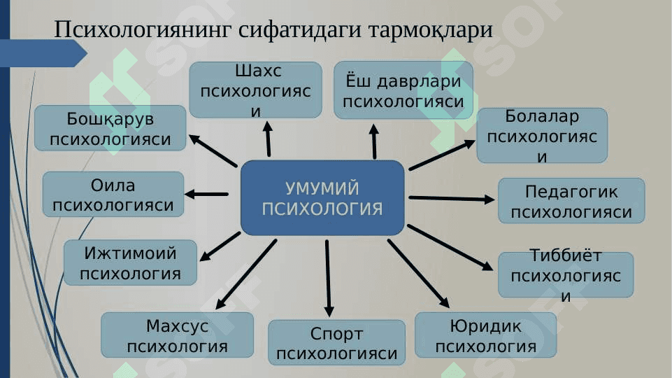 Болалар психологиясининг умумий масалалари 4