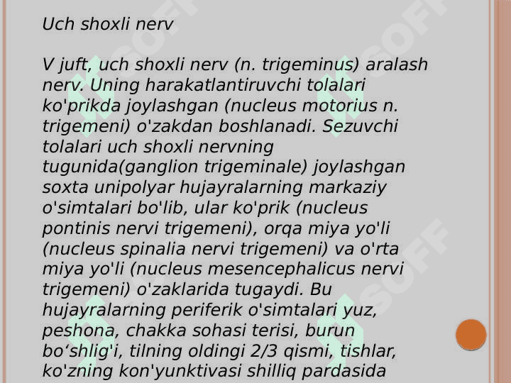 V juft bosh miya nervining 
funksional va klinik anatomiyasi 2