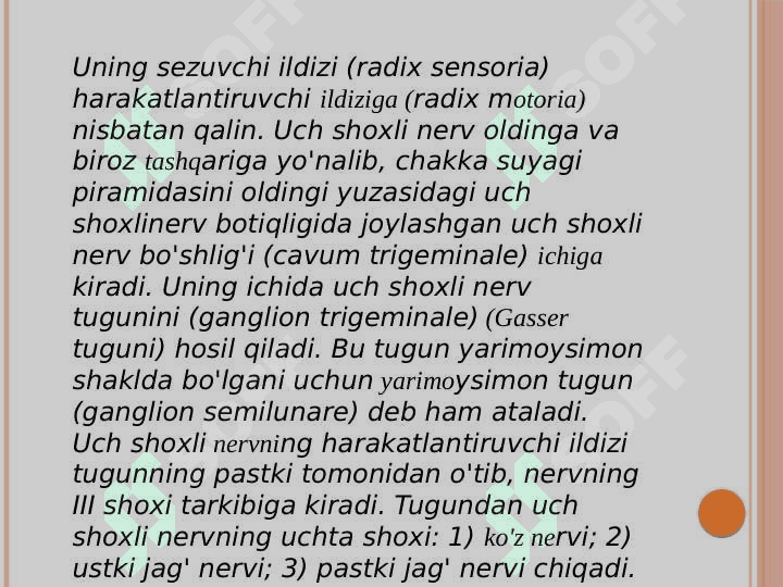 V juft bosh miya nervining 
funksional va klinik anatomiyasi 4