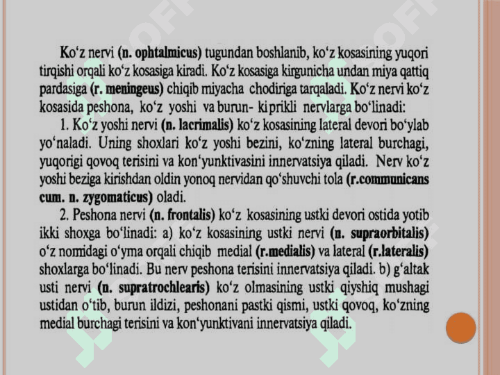 V juft bosh miya nervining 
funksional va klinik anatomiyasi 5