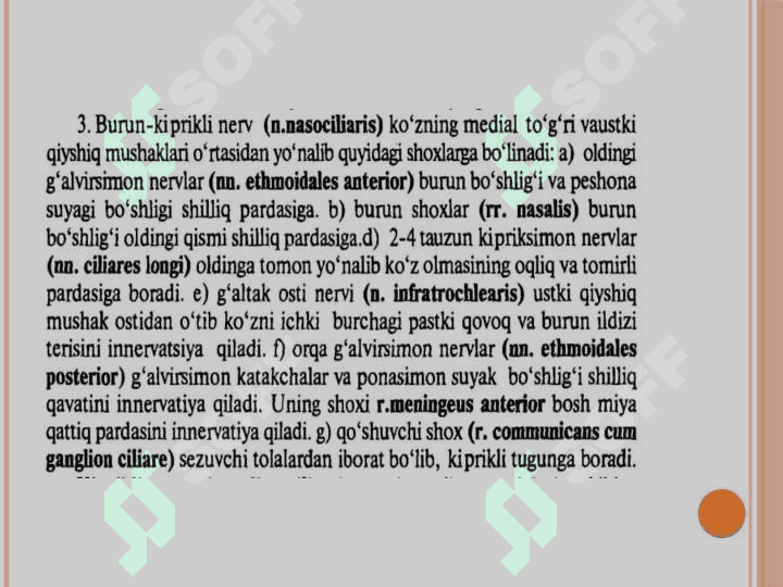 V juft bosh miya nervining 
funksional va klinik anatomiyasi 7