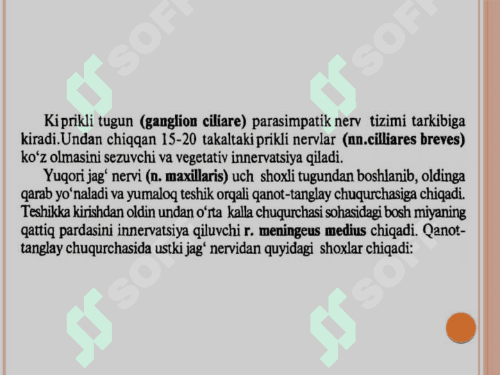 V juft bosh miya nervining 
funksional va klinik anatomiyasi 8