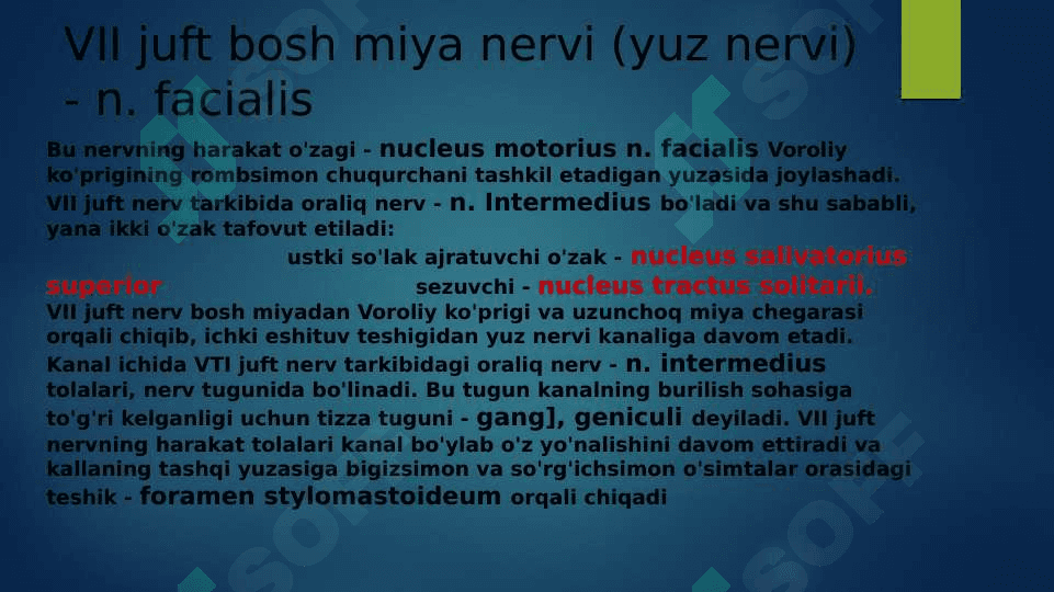 VII juft bosh miya nervining funksional va klinik anatomiyasi 2