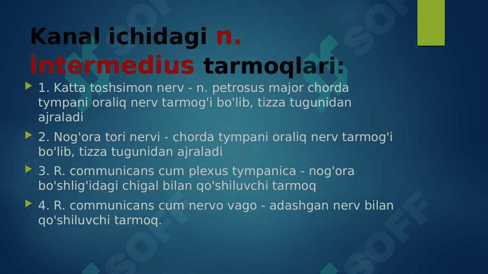 VII juft bosh miya nervining funksional va klinik anatomiyasi 3