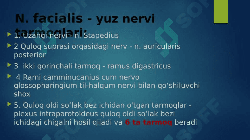 VII juft bosh miya nervining funksional va klinik anatomiyasi 4