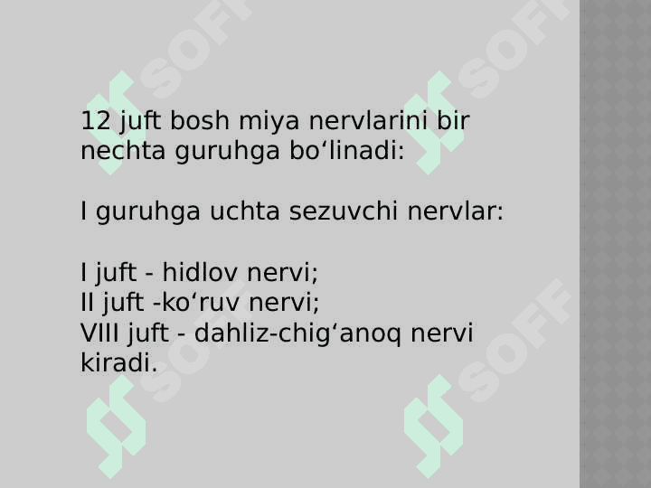 I-II juft bosh miya
nervi anatomiyasi 2