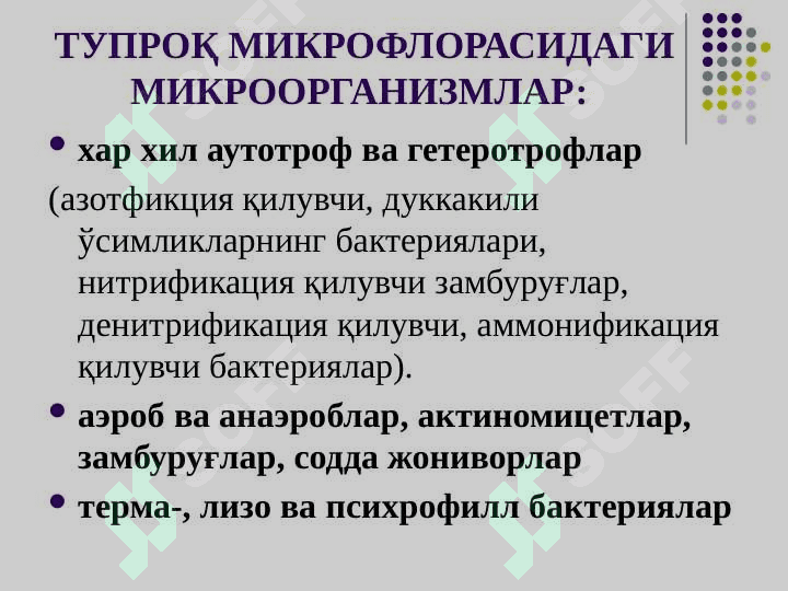 Mikroorganizmlar ekologiyasi 6