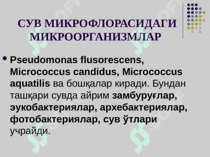 Mikroorganizmlar ekologiyasi 7