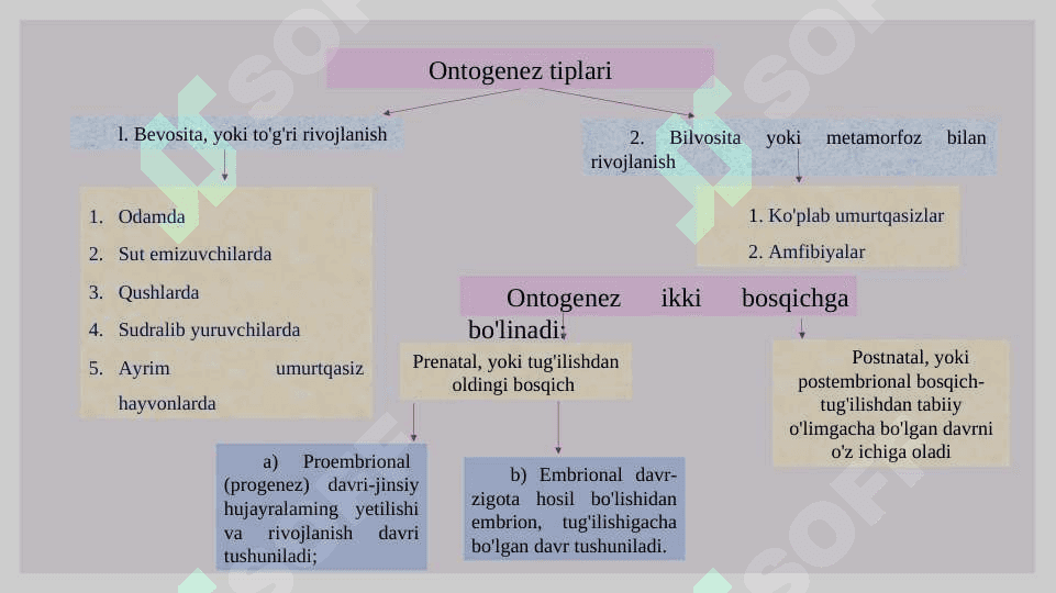 Ontogenez. Organizmlarning koʻpayishi 2