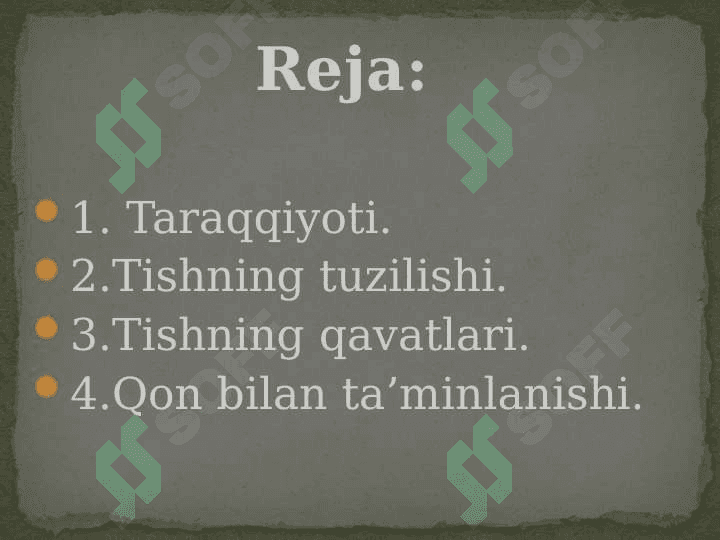 Tishlarning tuzilishi 2