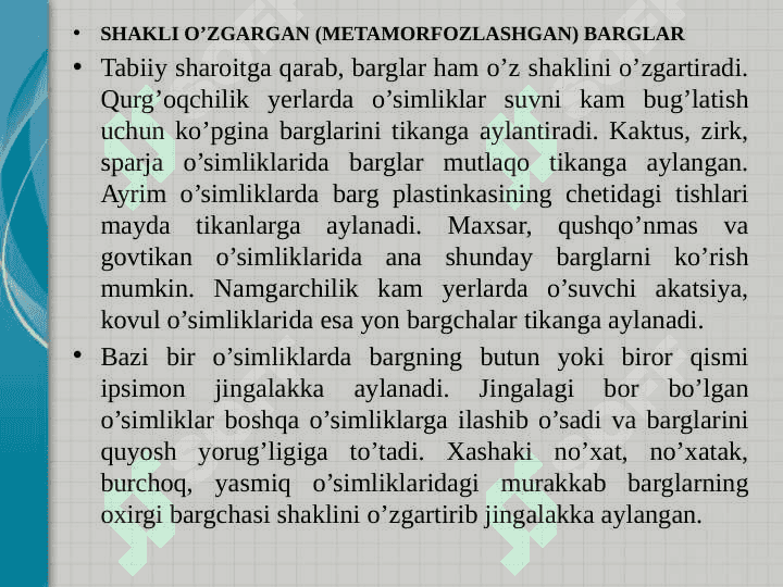 BARGNING POYADA JOYLASHISHI 4