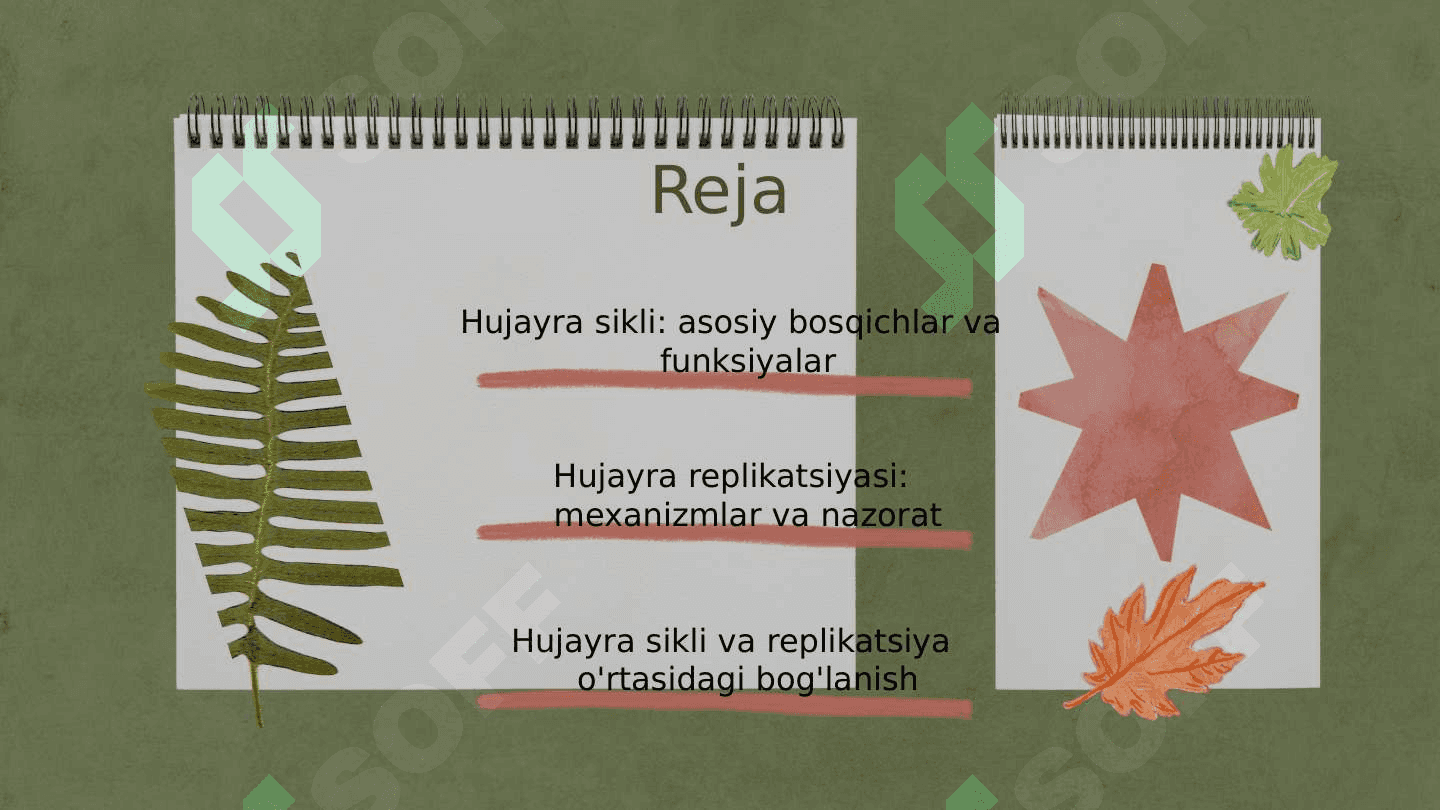Hujayra sikli va hujayra replikatsiyasi boshqaruv mexanizmi 2