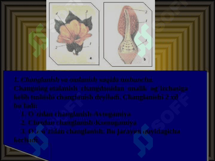 Changlanish va urug'lanish jarayoni 3